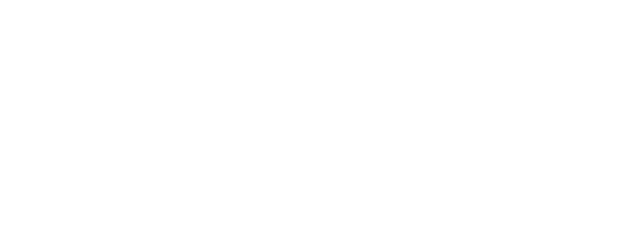 #1 Digital Marketing Consultants | Élan Marketing